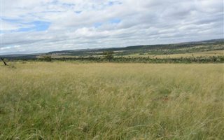 1097 ha Farm in Middelburg Central