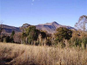1066 m² Land available in Clarens