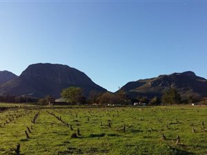 Farm in Northern Paarl