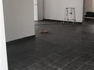 350 m² Commercial space in Windermere