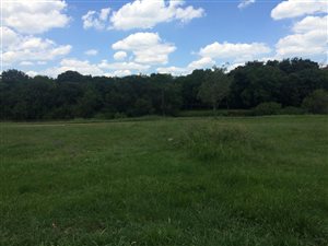1700 m² Land available in Rothdene
