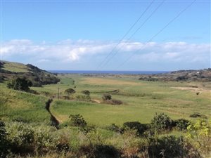 57 ha Farm in Hibberdene