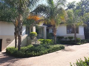 9500 m² Farm in Clubview