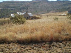 1491 m² Land available in Clarens