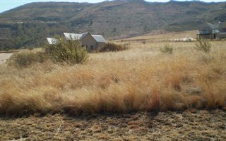 1491 m² Land available in Clarens