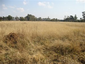 1.2 ha Land available in Martindale