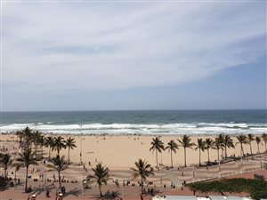 3 Bed Apartment in South Beach