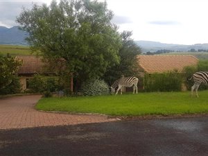 3 Bed House in Bergville