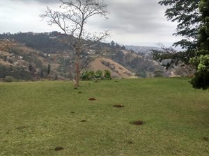 2152 m² Land available in Bothas Hill