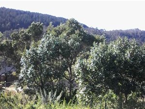 762 m² Land available in Meedingsride