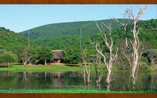 1980 ha Farm in Vaalwater