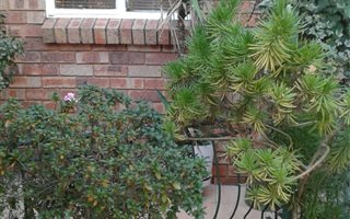 2 Bedroom Garden Cottage in Morehill