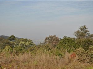 2.9 ha Land available in Hilton