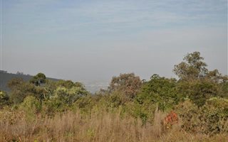 2.9 ha Land available in Hilton
