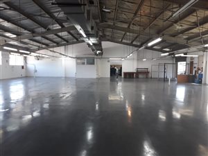 Office space in Lotusville