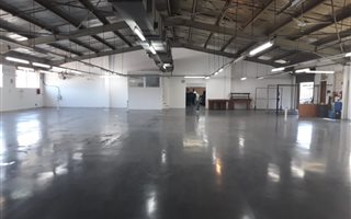 Office space in Lotusville