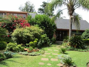 5 Bed Duet in Kilner Park