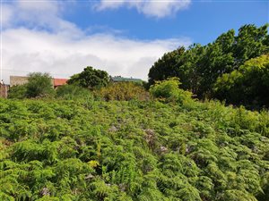 660 m² Land available in Pringle Bay