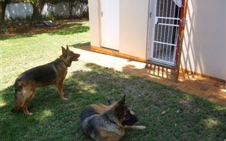 1 Bedroom Garden Cottage in Colbyn
