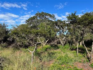 2142 m² Land available in Bathurst and Surrounds