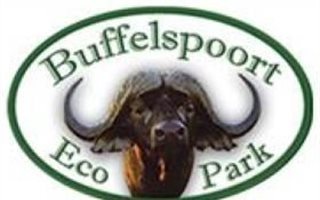 1036 m² Land available in Buffelspoort