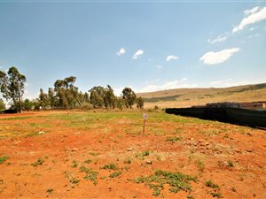800 m² Land available in Eye of Africa