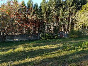 3195 m² Farm in Mposa