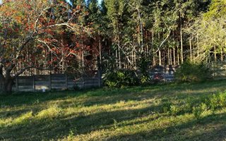 3195 m² Farm in Mposa