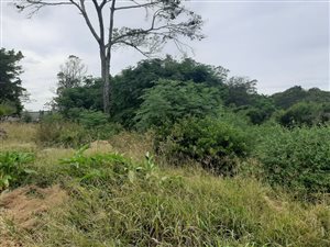 6320 m² Land available in East London Central