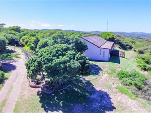 22 ha Farm in Seaview