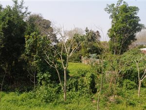 914 m² Land available in Belvidere