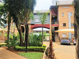 2 Bed Apartment in Riviera