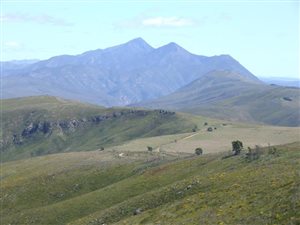 504 ha Farm in Humansdorp