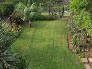 3 Bed Duplex in Clarendon