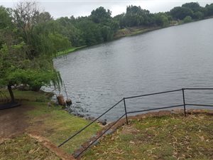 2.5 ha Farm in Lindequesdrif