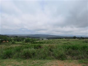 1.2 ha Land available in White River