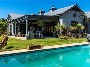 1.3 ha Farm in Northern Paarl