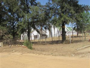 14 Bed House in President Park