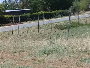 2581 m² Land available in Bloemhof