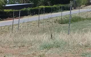 2581 m² Land available in Bloemhof