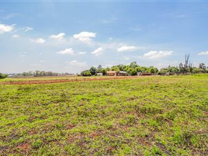 2 ha Land available in Pomona