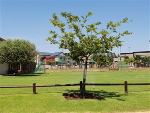 730 m² Land available in Newmark Estate