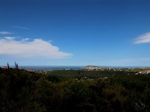 1942 m² Land available in Schoongezicht