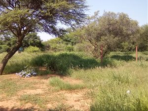 9.2 ha Farm in Vasfontein