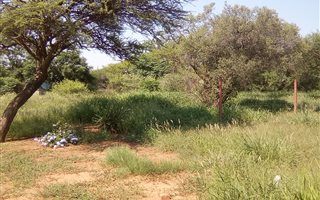9.2 ha Farm in Vasfontein