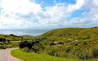 702 m² Land available in Fernwood