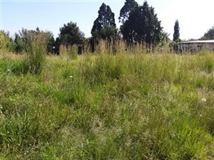 1168 m² Land available in Eureka