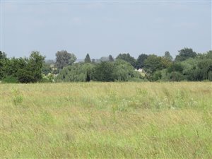 2.6 ha Farm in Rosashof