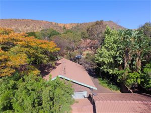 4 Bed House in Safari Gardens