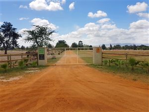 18 ha Farm in Cape Farms